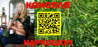 spice Шебекино