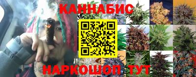 каннабис Шелехов