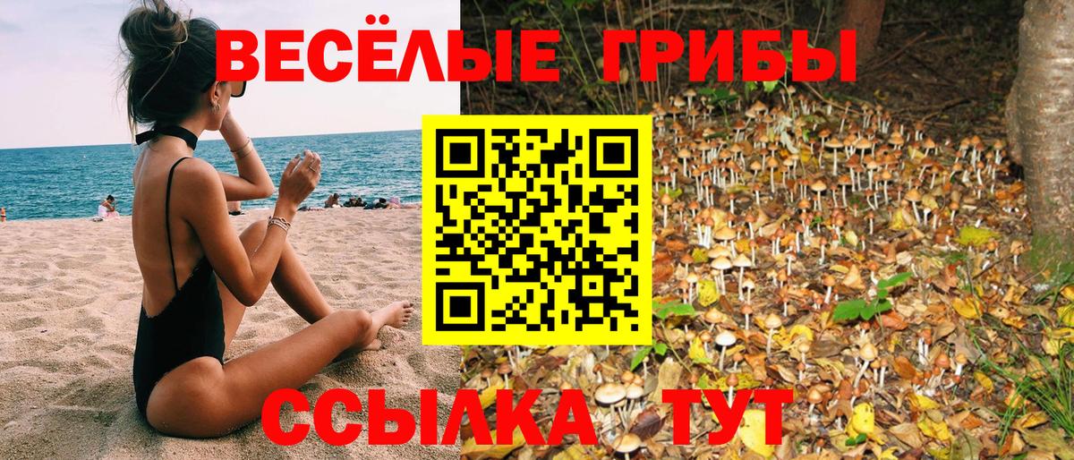 Галлюциногенные грибы Cubensis Асбест